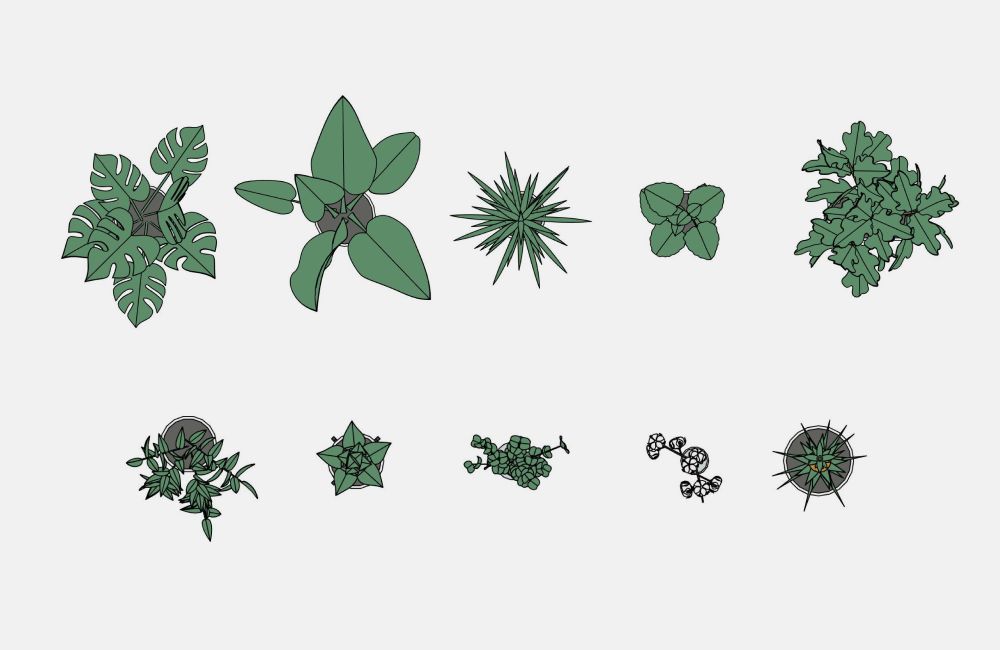 Plants Revit Families — SET STRUCTURE